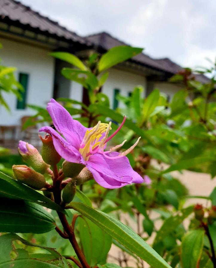 Lakshmi Bungalow Sihanoukville Dış mekan fotoğraf